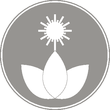 Symbol LLLT 30 300